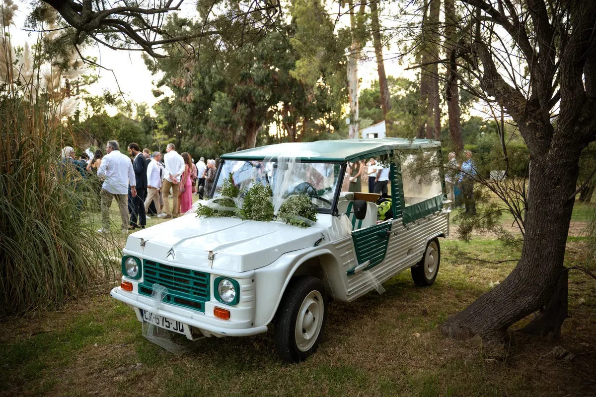 Christophe & Stéphanie — photo 19